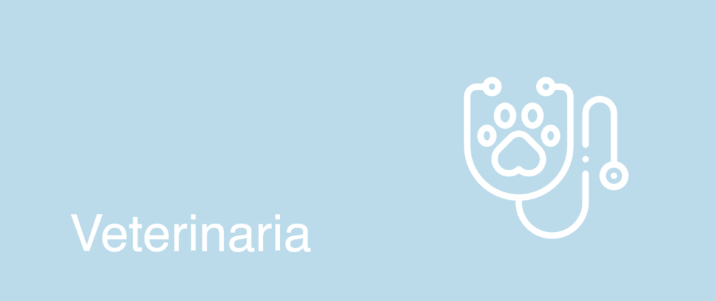 Silicona para el sector de la veterinaria